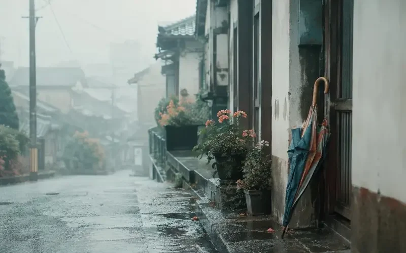 《妈妈的旧雨伞》口碑炸裂：一次迟到很多年的和解 - 韩漫剧资讯配图